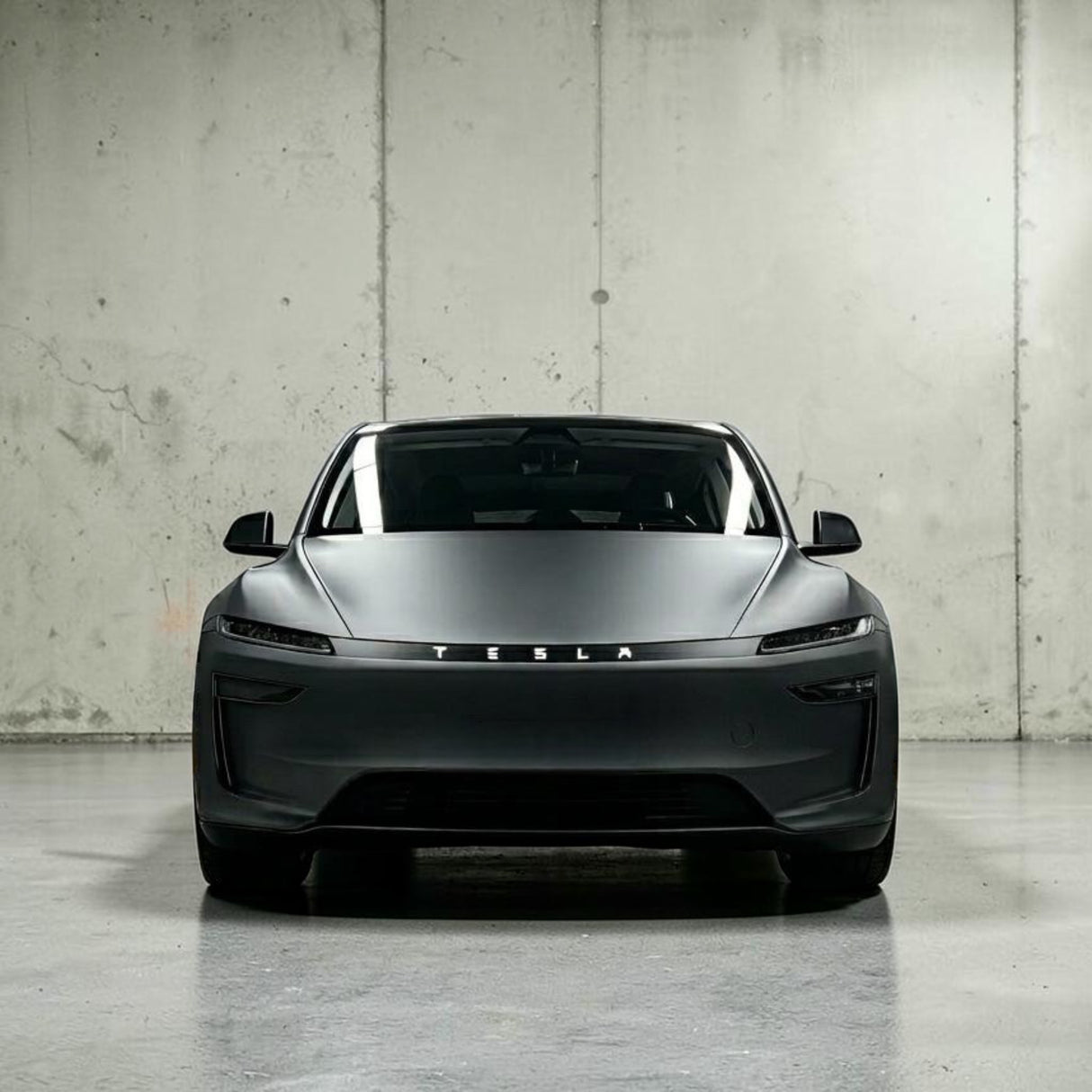 Folie voor lichtstrip - Tesla Model Y 2025 Juniper – Mat zwart met TESLA tekst