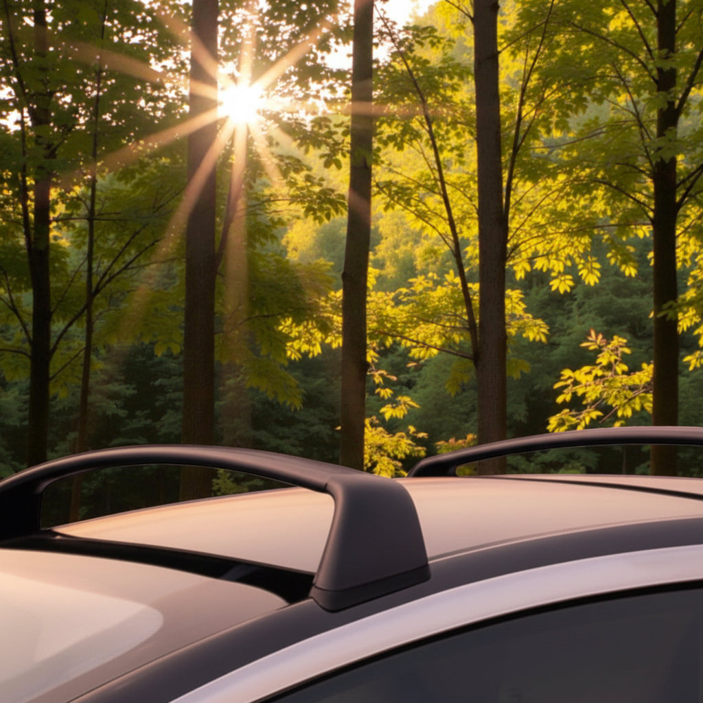 Zwarte Tesla dakdragers gemonteerd op het dak van een Tesla, met een bos en zon op de achtergrond