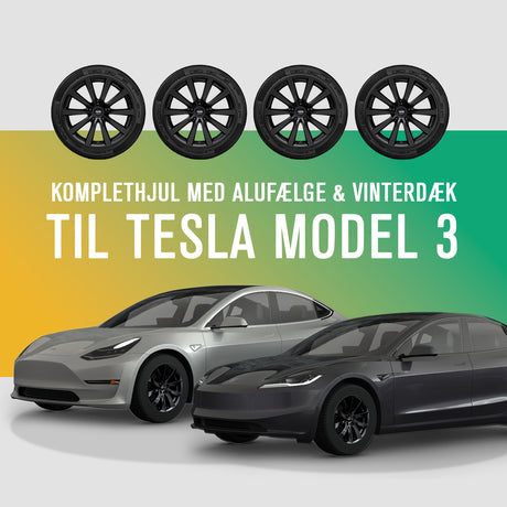 Complete 19" winterwielen met Platin P106 lichtmetalen velgen en banden voor Tesla Model 3.
