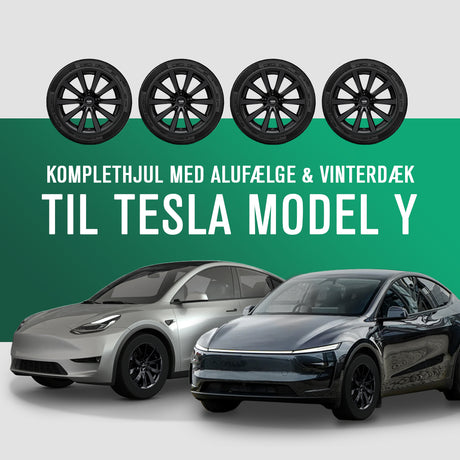 Complete 19" winterwielen met Platin P106 lichtmetalen velgen en banden voor Tesla Model Y.