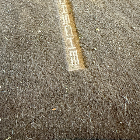 Voorafbeelding van een zeer vuile automatten met Porsche-logo vóór TurboClean stofzuiger