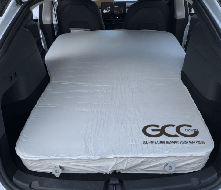 Ben je op zoek naar accessoires voor elektrische auto's? Bij GreenCarGear hebben we alles, van autoverzorgingsproducten, laders voor elektrische auto's, accessoires voor thuis opladen van elektrische auto's, en meer. Je vindt hier alle Tesla-accessoires, VW ID 4-accessoires en Ford Mustang Mach E-accessoires.