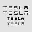 Tesla letters die in plaats van het logo op de auto kunnen worden gebruikt